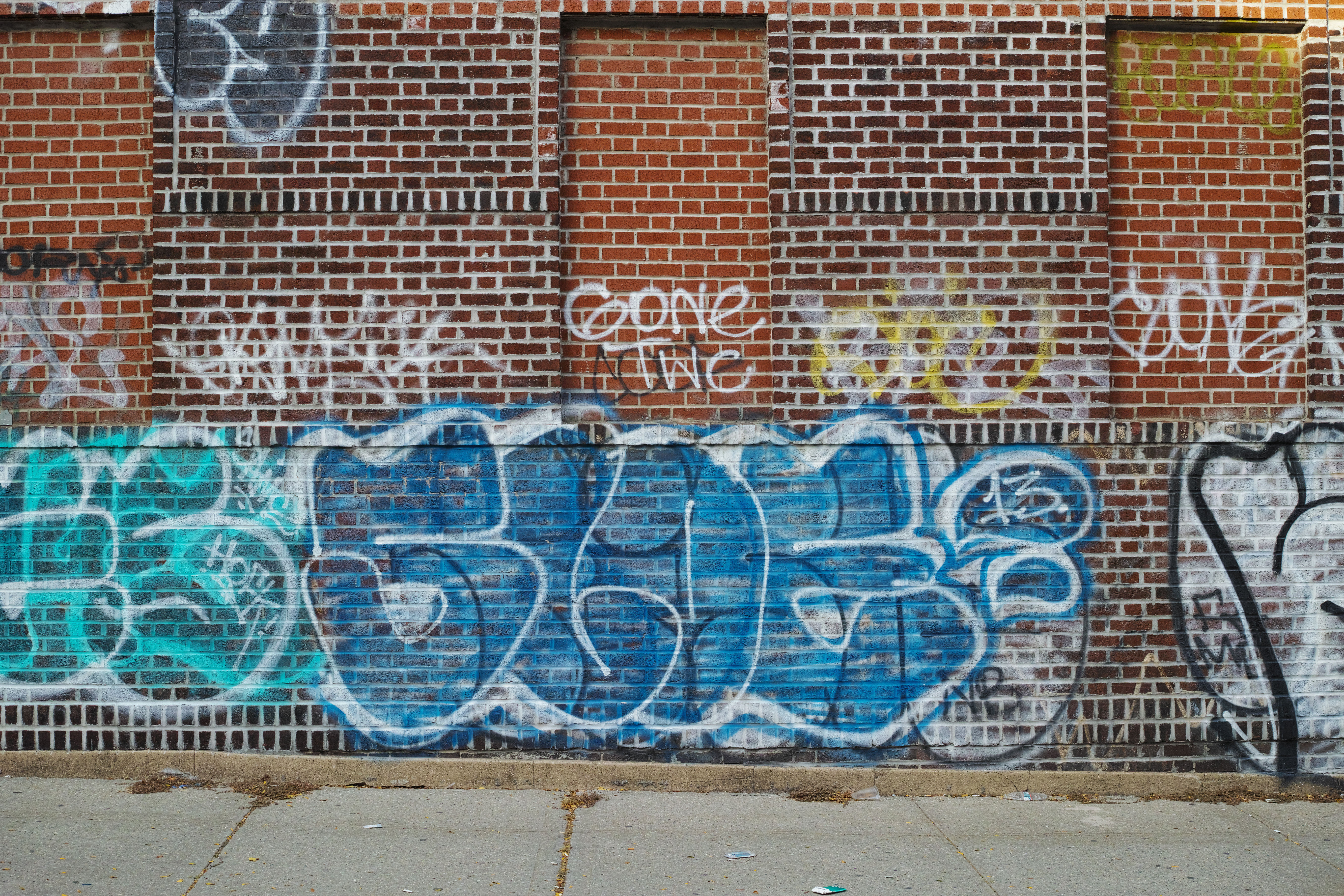 BP Falconry - Grafitti Removal