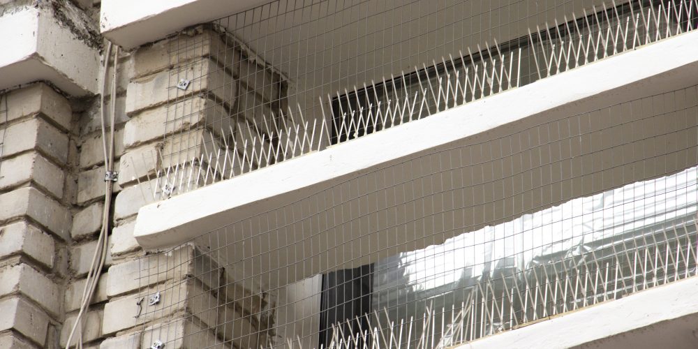 BP Falconry - Bird Proofing